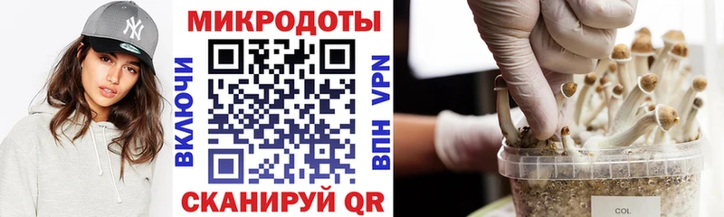 Галлюциногенные грибы мухоморы  Москва 