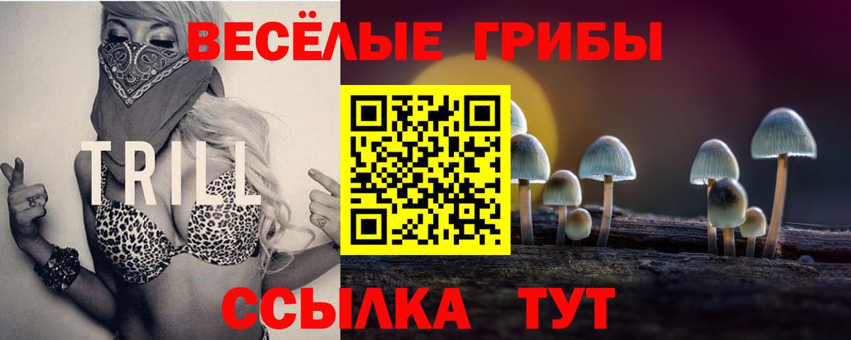 Псилоцибиновые грибы Psilocybine cubensis  Вход с VPN  Москва  Псилоцибиновые грибы мухоморы 
